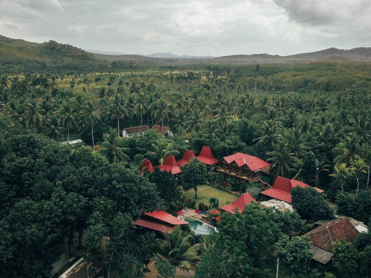 Hotel Mojosurf Camp Red Island Pasanggaran Zewnętrze zdjęcie